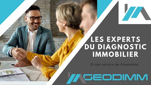 Geodimm Paris - Diagnostics Immobiliers - Audit Energétique — Diagnostic immobilier à Paris