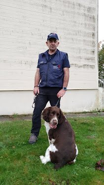 Punaises Expert — Dératisation à Lyon