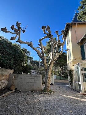 AXEL SOLERIEU PAYSAGES — Jardinier à Marseille