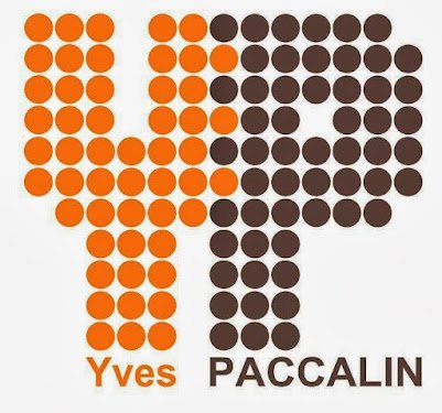 Yves PACCALIN ELECTRICITE — Électricien à Lyon