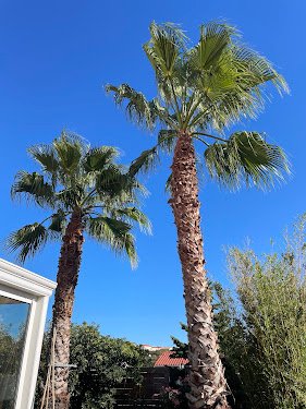 TipTop Jardins — Jardinier à Marseille
