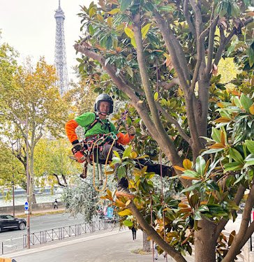 France Élagage Paris — Élagueur à Paris
