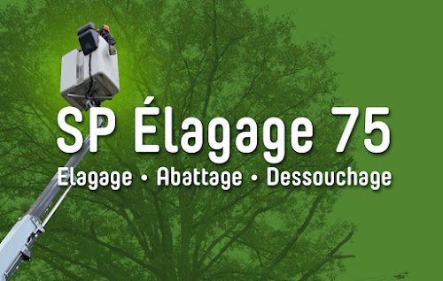 Elagueur paysagiste 75 Sp Élagage — Élagueur à Paris