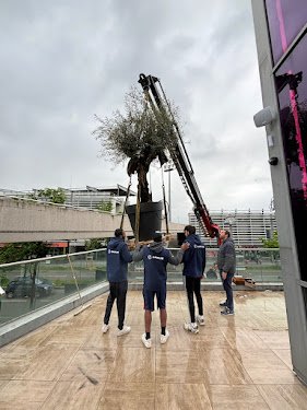 Garius multiservices Lyon - Nettoyage, Debarras, Manutention — Nettoyage fin de chantier à Lyon