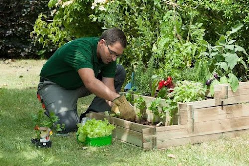 O2 Lyon - Jardinage et Bricolage à domicile — Paysagiste à Lyon