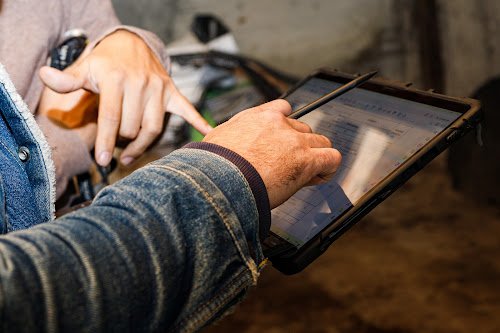 Norma Diagnostics Immobiliers — Diagnostic immobilier à Lyon