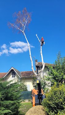SOUS LE CHARME — Élagueur à Toulouse