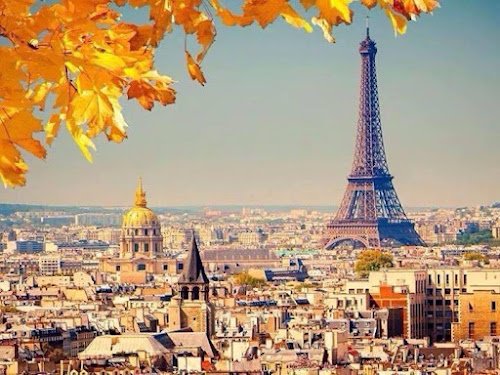MSI Diagnostic Immobilier — Diagnostic immobilier à Paris
