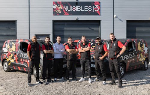 Nuisibles 13 — Désinsectisation à Marseille