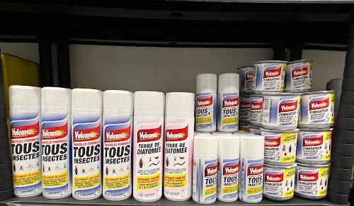 3D13 HYGIENE — Désinsectisation à Marseille