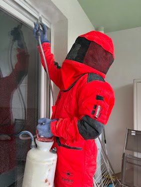 France Nuisibles Experts — Désinsectisation à Marseille