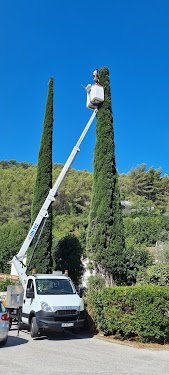 Artisan spade élagueur paysagiste — Élagueur à Marseille