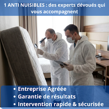 1 Anti Nuisibles Paris — Dératisation à Paris