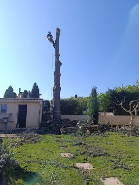 Acrobate Elagage, Loire 42 Rive-de-Gier - Élagueur Abattage d'arbres Taille Débroussaillage Rabotage de Souche St-Etienne — Élagueur à Lyon