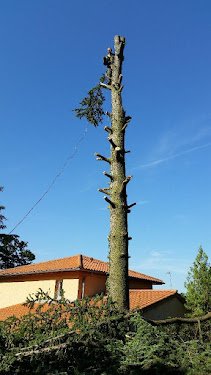 Bonnet Pierre — Terrassier à Lyon