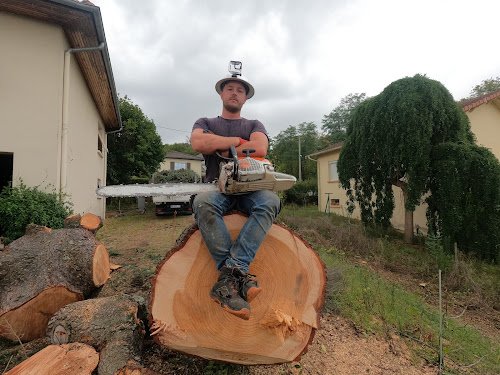 Allô Liam Espace Vert Elagueur Jardinier Ain 01 — Élagueur à Lyon