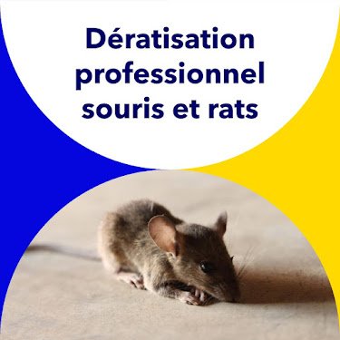 Clean all - Dératisation Paris 19 |Cafard souris rat — Dératisation à Paris