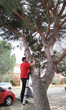 Nuisible Occitanie — Désinsectisation à Toulouse