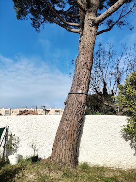 FK Jardin & Aménagement — Jardinier à Marseille