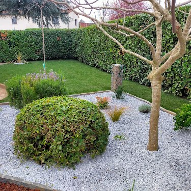 MMservices31 - Paysagiste Plaisance-du-Touch Colomiers Tournefeuille — Jardinier à Toulouse