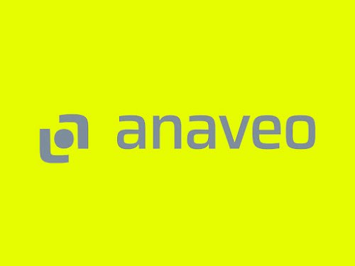 ANAVEO - Occitanie — Vidéosurveillance à Toulouse