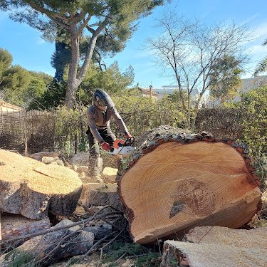 Amazone Paysage élagage abattage débroussaillage Marseille — Jardinier à Marseille