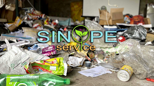 Sinope Service - Diogène Débarras Nettoyage Traitement des nuisibles — Désinsectisation à Marseille