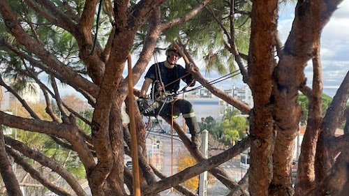 Vertuose Espace Vert — Jardinier à Marseille