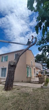 RC Élagage — Élagueur à Marseille