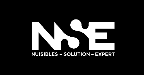 Nuisibles Solution Expert — Dératisation à Lyon