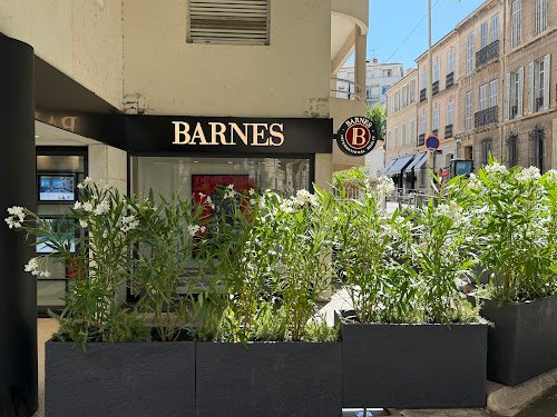 Paysagiste Marseille 13006 - Terrasse et jardin de ville — Paysagiste à Marseille