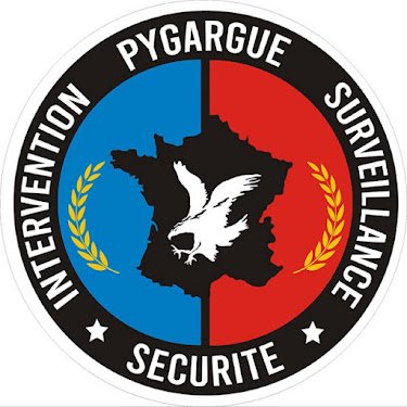 Pygargue Sécurité - Société de sécurité — Alarme & sécurité à Toulouse