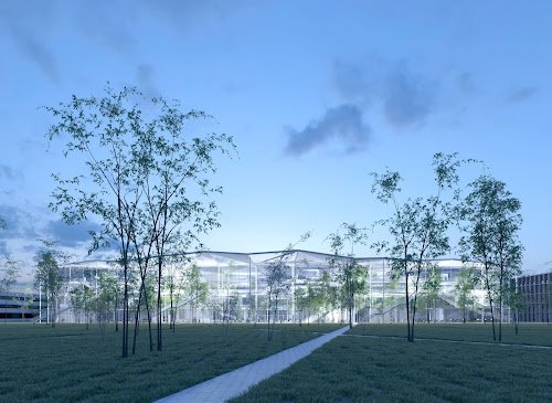 MOZ Paysage — Paysagiste à Lyon