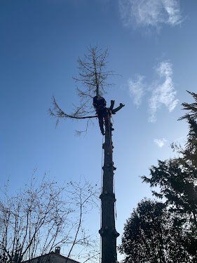 Vertconcept — Jardinier à Toulouse