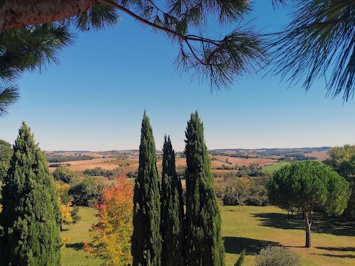 Fournier Espaces Verts, Blagnac Toulouse — Jardinier à Toulouse