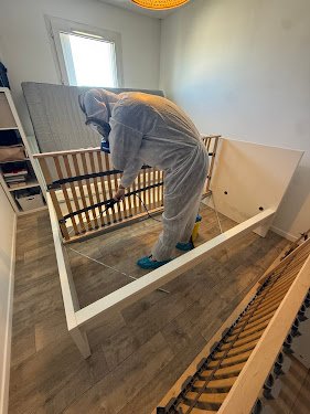 Attrape Nuisibles — Dératisation à Paris