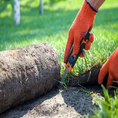 Jardiniers SAP Paris — Jardinier à Paris