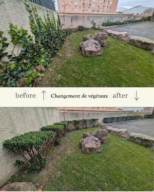 Predal dératisation — Dératisation à Marseille