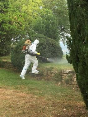 Pest Avenue — Désinsectisation à Marseille