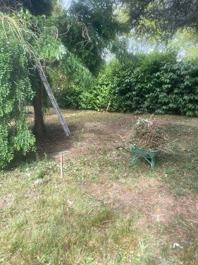 D Pro Élagage - Élagueur 31 | Taille Abattage d'Arbres Haies Entretien Jardin Pose Clôture Toulouse Balma Blagnac — Élagueur à Toulouse