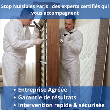 Stop Nuisibles Paris — Dératisation à Paris