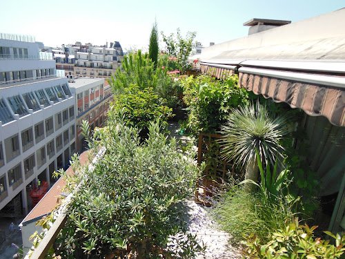 Parisbalcon Paysagiste — Paysagiste à Paris
