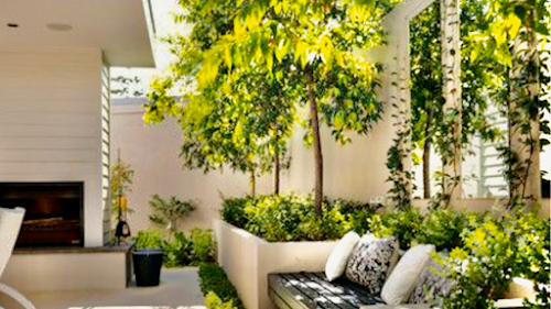 TERRASSE ET JARDIN DE PARIS MEUDON — Jardinier à Paris