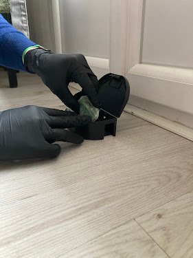 BeProtect – Dératisation & Désinsectisation Lyon — Dératisation à Lyon