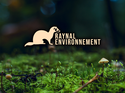 Raynal Environnement — Dératisation à Toulouse
