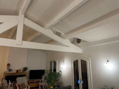 BS Rénovation - Boris Saunier — Plaquiste à Lyon
