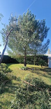 Les jardinier occitans — Jardinier à Toulouse