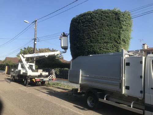 Artisan Buche : Jardinier Élagueur 69 à Mions - Etêtage Élagage Taille Abattage d'Arbres Pose Clôture Rhône-Alpes Lyon — Élagueur à Lyon