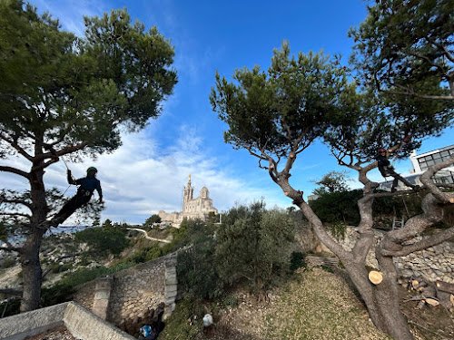 Damon Elagage - Le Jardin des Racines aux Cimes — Jardinier à Marseille