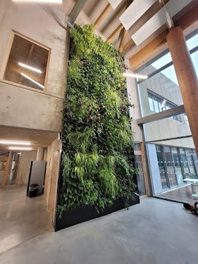 Garden Events - Murs Végétaux & Végétalisation de bureaux — Élagueur à Paris